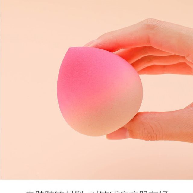 Makeup Beauty Egg