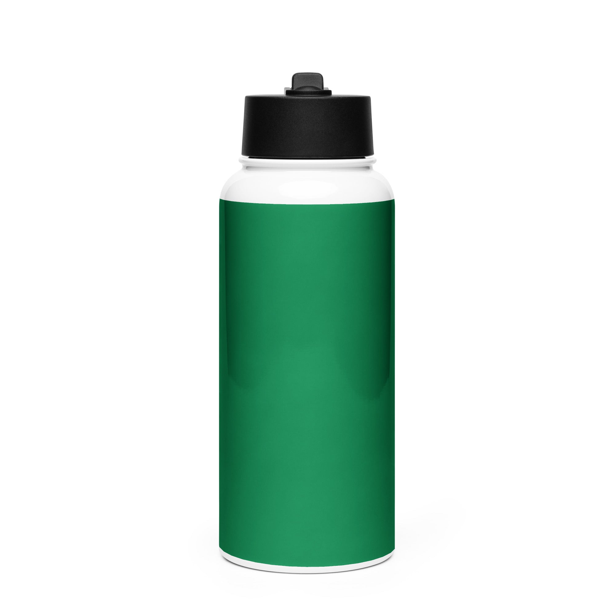 Stainless steel water bottle with a straw lid - Divine Janisal Design