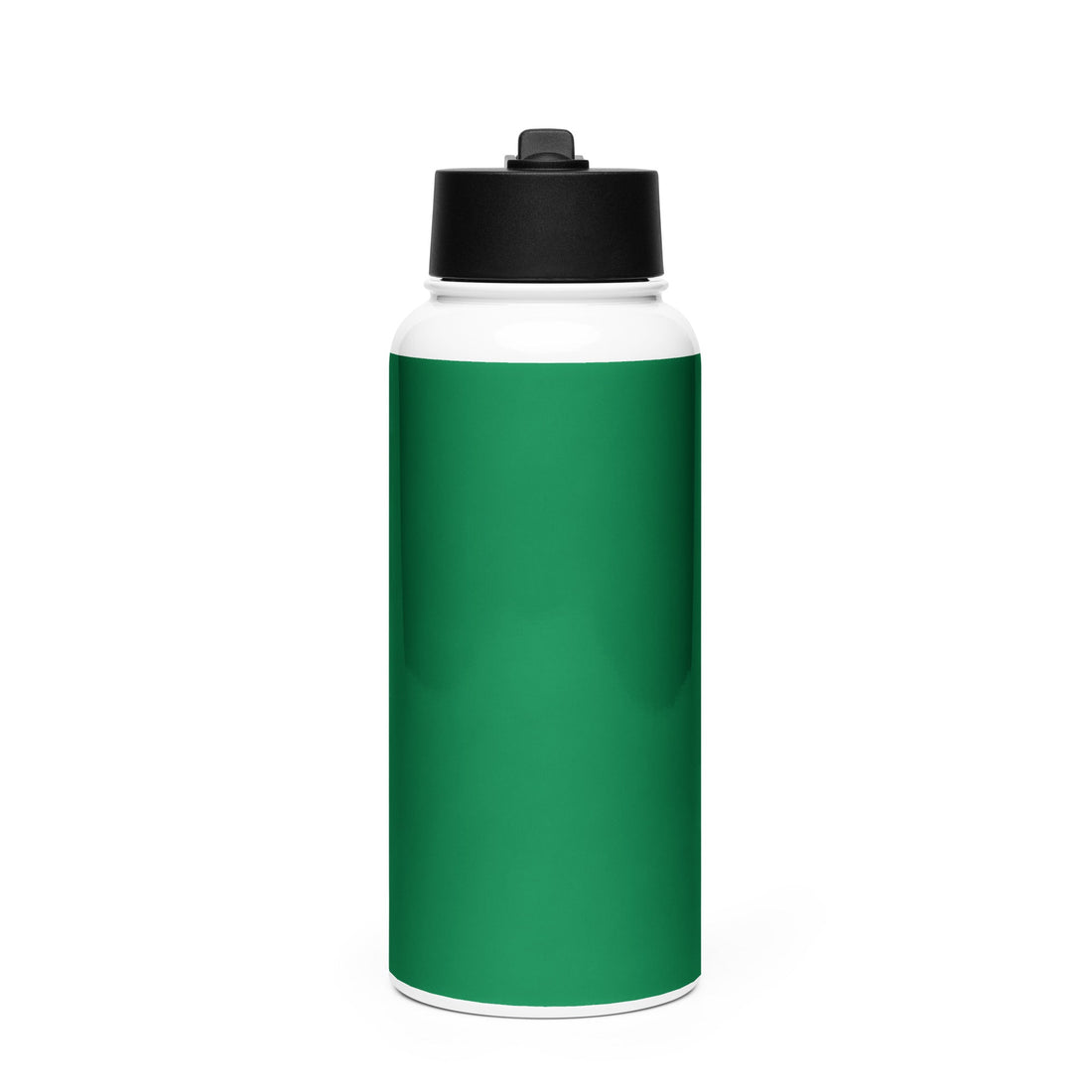 Stainless steel water bottle with a straw lid - Divine Janisal Design