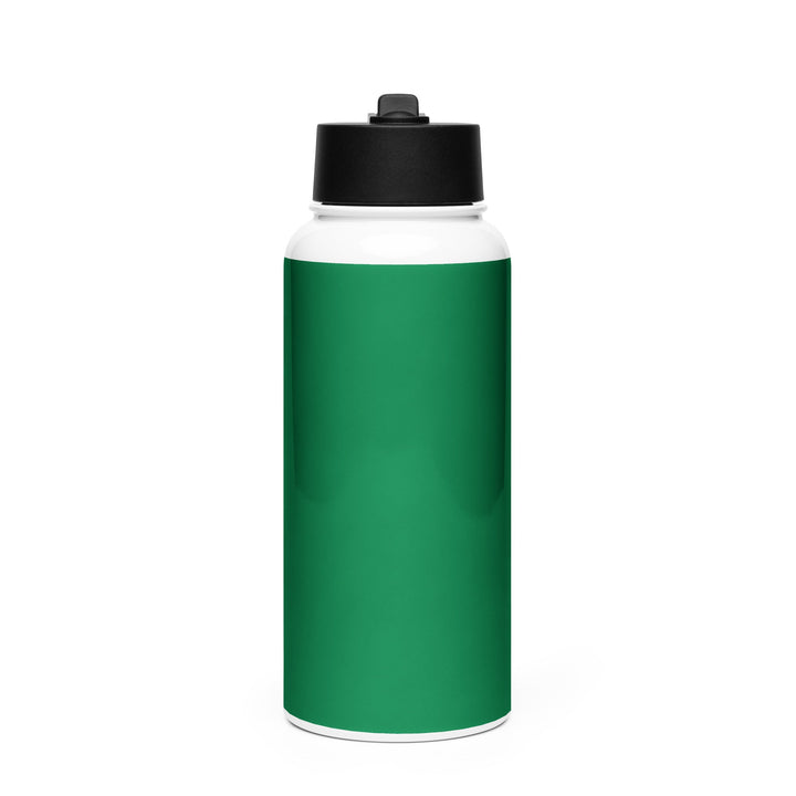 Stainless steel water bottle with a straw lid - Divine Janisal Design