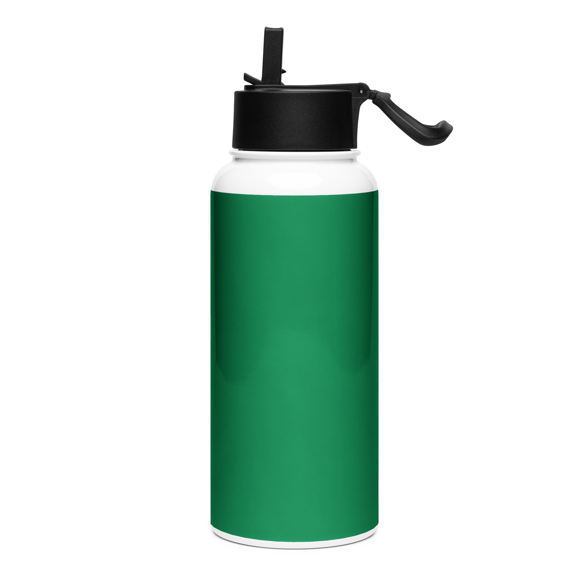 Stainless steel water bottle with a straw lid - Divine Janisal Design