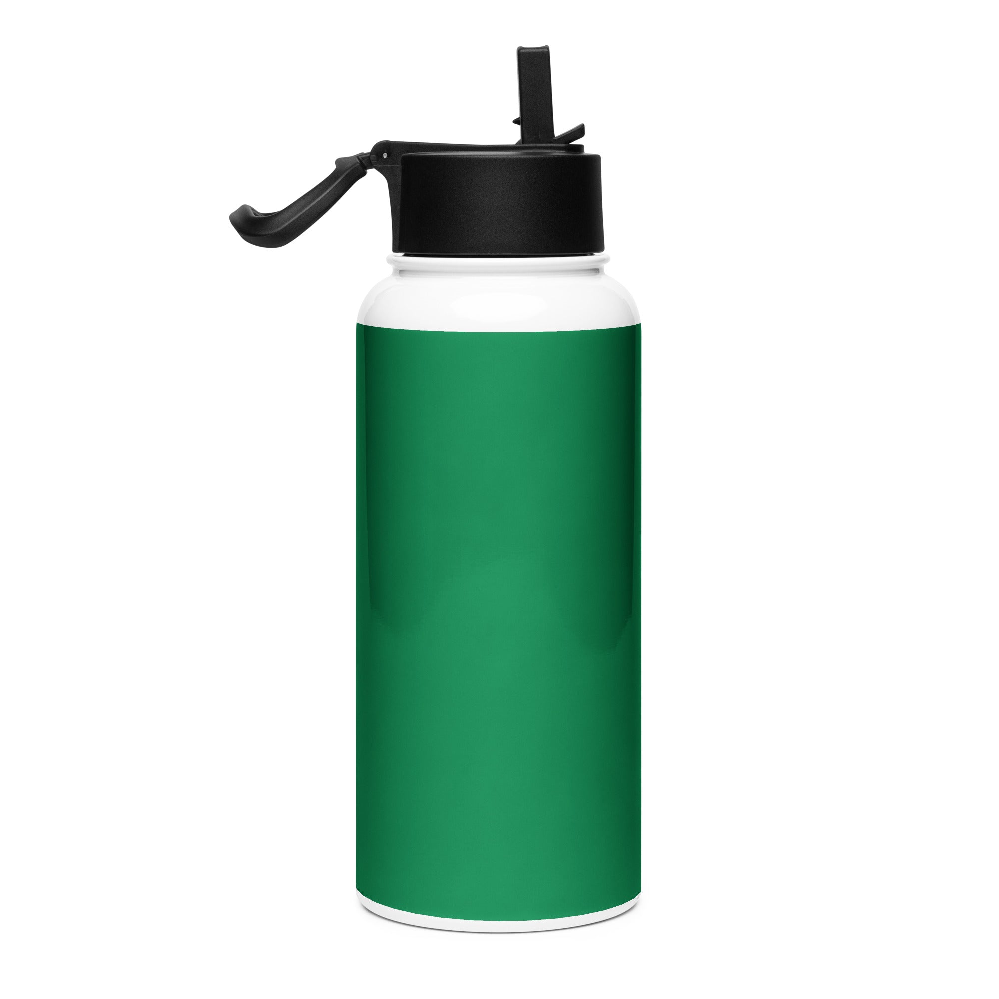 Stainless steel water bottle with a straw lid - Divine Janisal Design